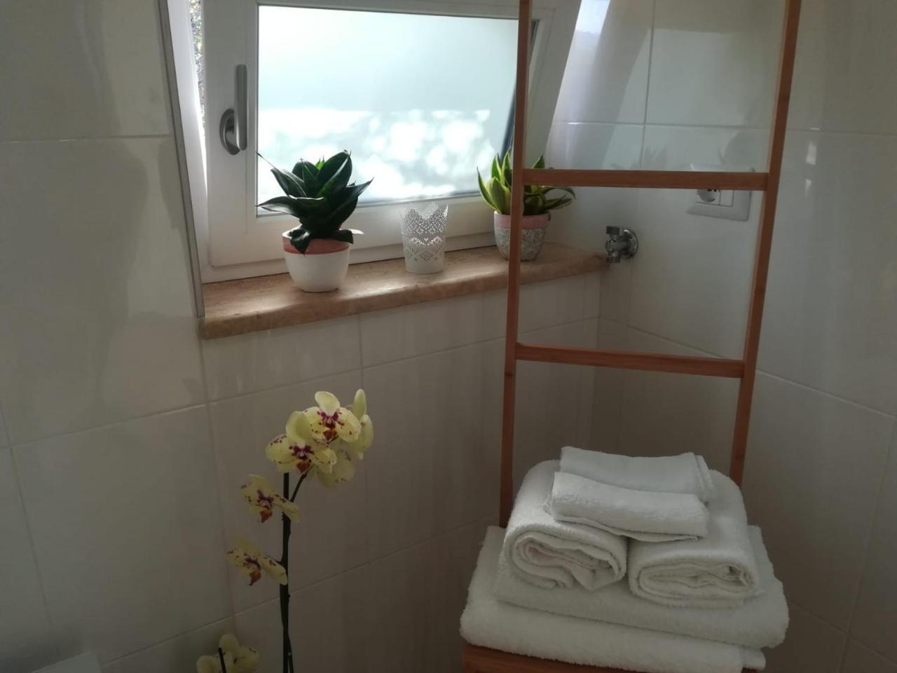 B&B Il Sogno Санта-Марія-ді-Кастеллабате Екстер'єр фото