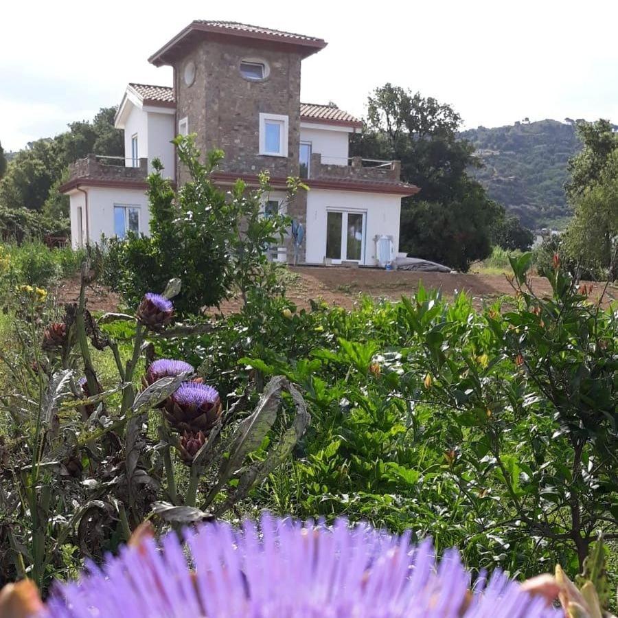 B&B Il Sogno Санта-Марія-ді-Кастеллабате Екстер'єр фото